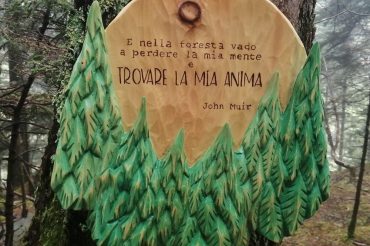 Foresta in cirmolo Muir