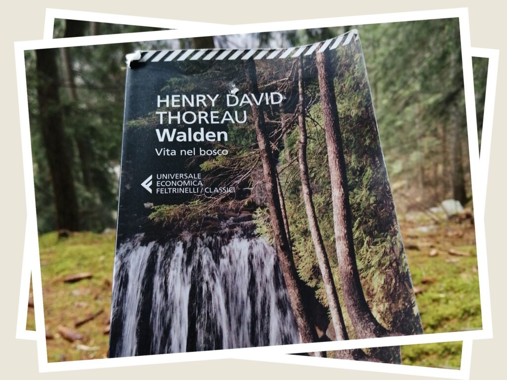 Copertina del libro walden vita nel bosco fotografata nel bosco da luisa capellino
