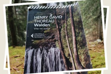Copertina del libro walden vita nel bosco fotografata nel bosco da luisa capellino