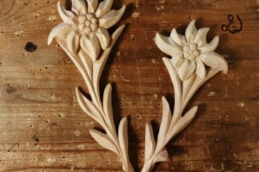 stelle alpine in cirmolo