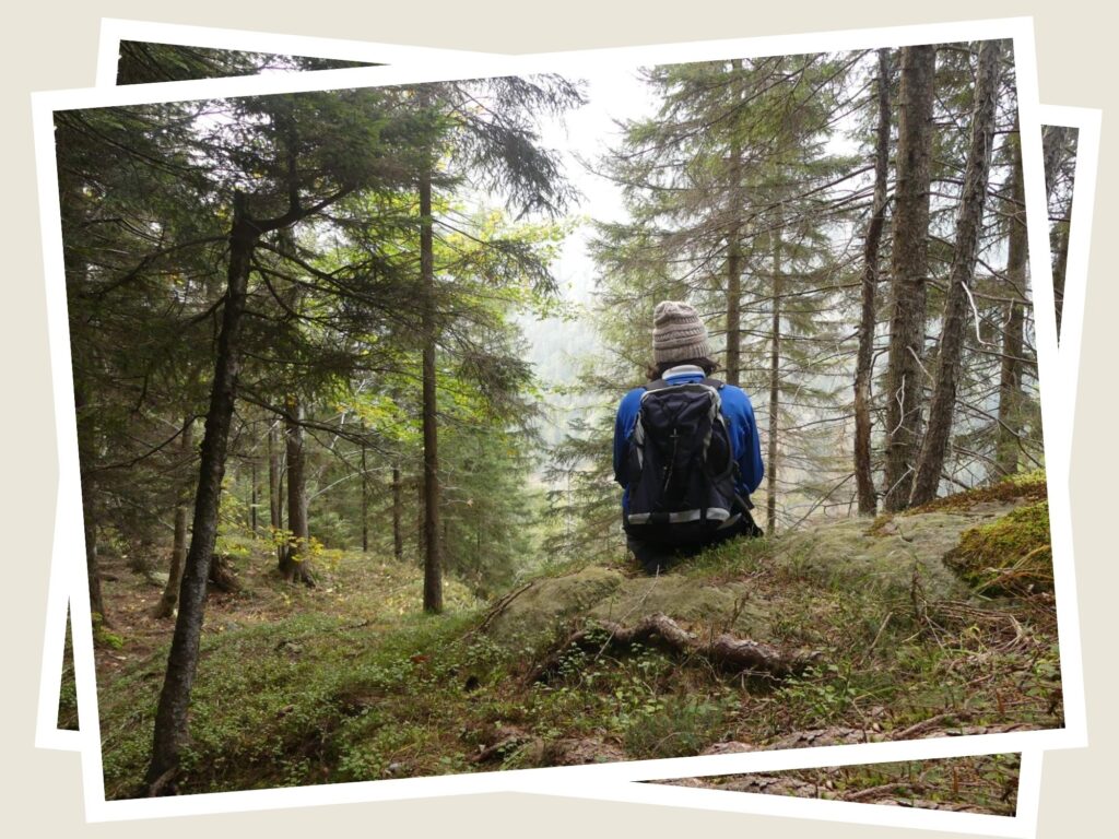 Sono io seduta in un bosco, di schiena
