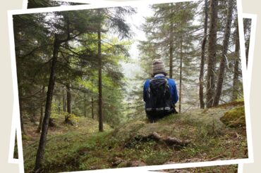 Sono io seduta in un bosco, di schiena