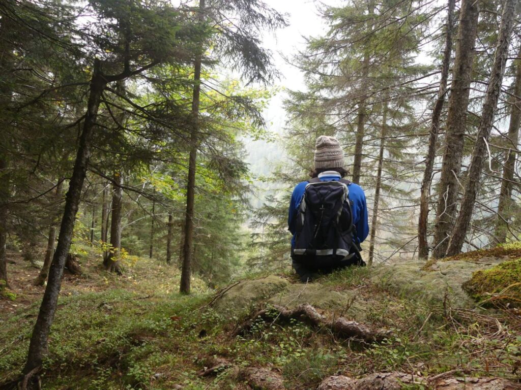 Copertina articolo: Ho eliminato le risorse gratuite. Sono io seduta di schiena in un bosco