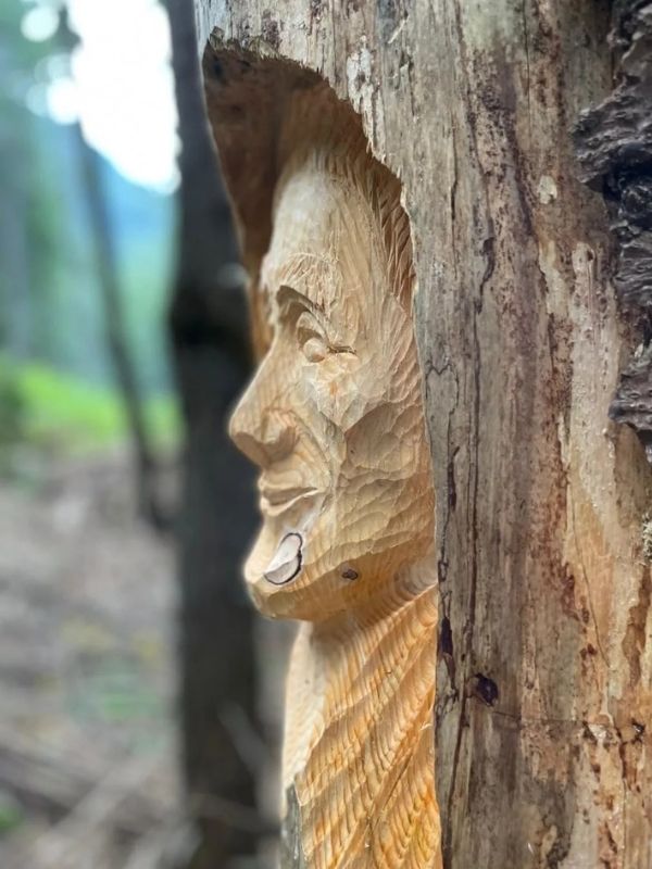 Sculture al ritmo dei boschi: qui il volto di anziana scolpito in un ceppo nel bosco
